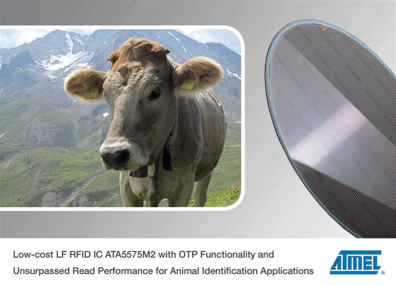 Atmel Launches Cost Effective LF RFID IC for Animal Identification  Applications