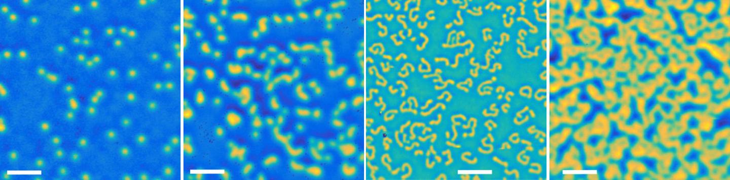 Skyrmions in Multilayers + Their Topological Hall Signature