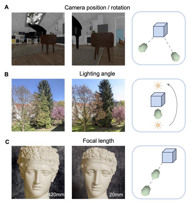 Children's Visual Experience May Hold Key to Better Computer Vision Training